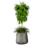 Artificial Plant